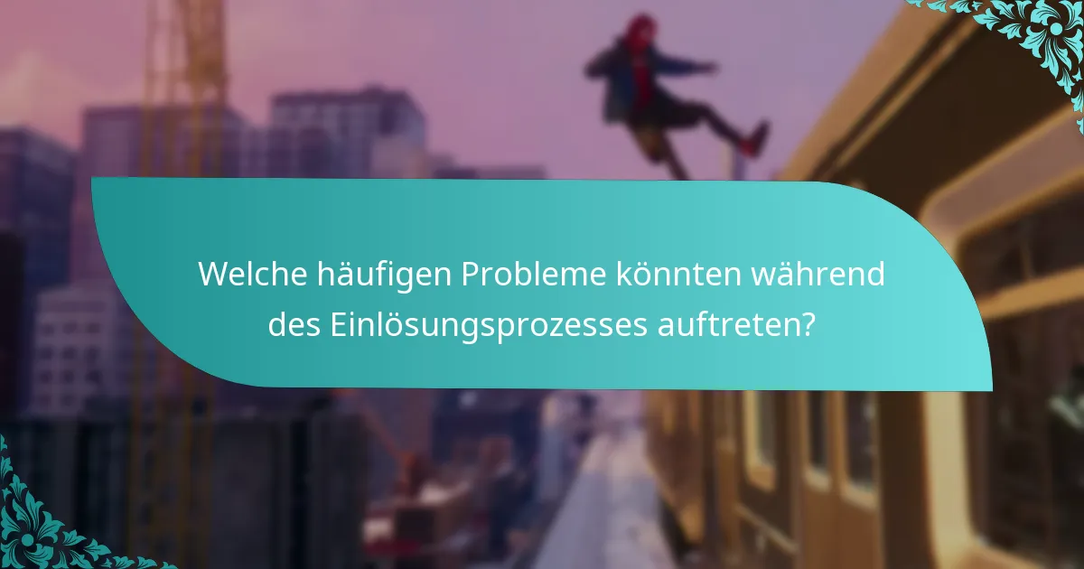 Welche häufigen Probleme könnten während des Einlösungsprozesses auftreten?